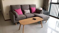 Blk 1C The Pinnacle@Duxton (Bukit Merah), HDB 5 Rooms #497054031